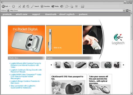 example of site development showing brand identity and e-commerce sales